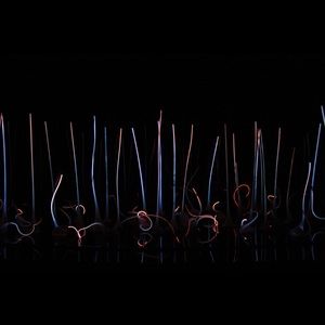 Meet your Posher, Regina